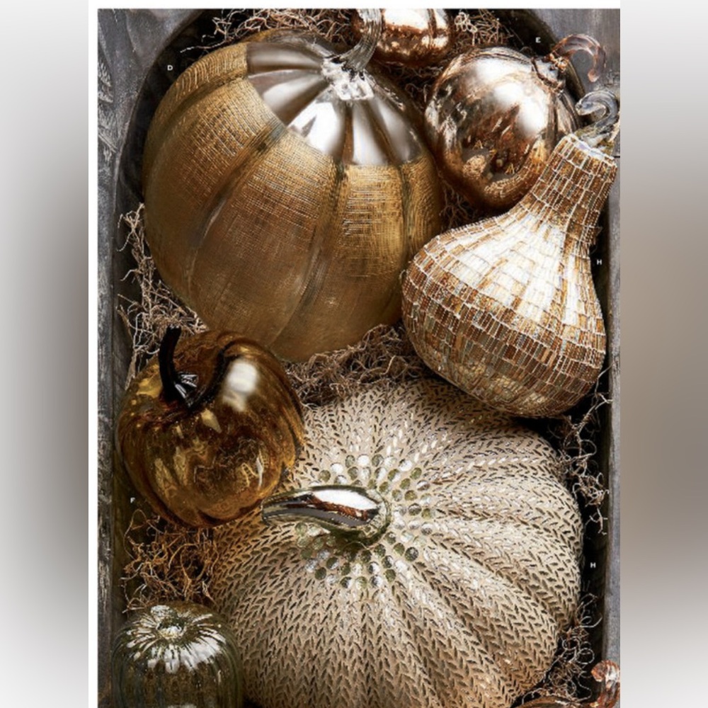Pottery barn linen pumpkin stunning sold out - Picture 3 of 4